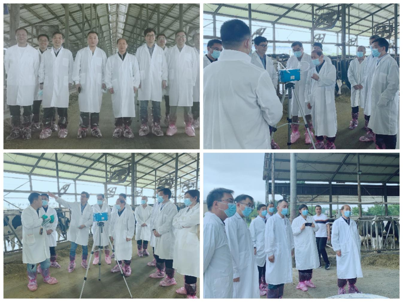 花花牛丨河南農(nóng)業(yè)大學(xué)黨委副書記、校長介曉磊一行蒞臨花花牛河南瑞亞參觀調(diào)研