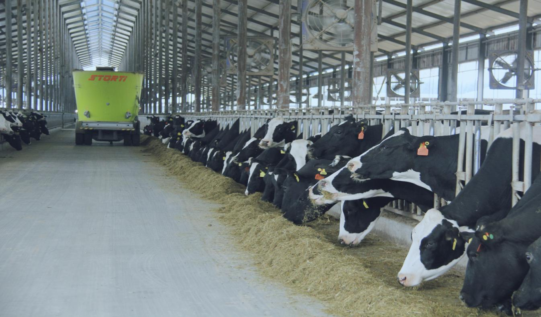 北京大學(xué)南南合作與發(fā)展學(xué)院教授、全球伙伴關(guān)系主任周詠梅一行蒞臨花花牛平輿瑞亞牧業(yè)參觀調(diào)研